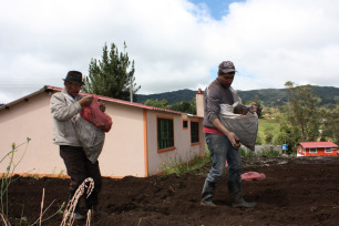 Några bönder sår potatis