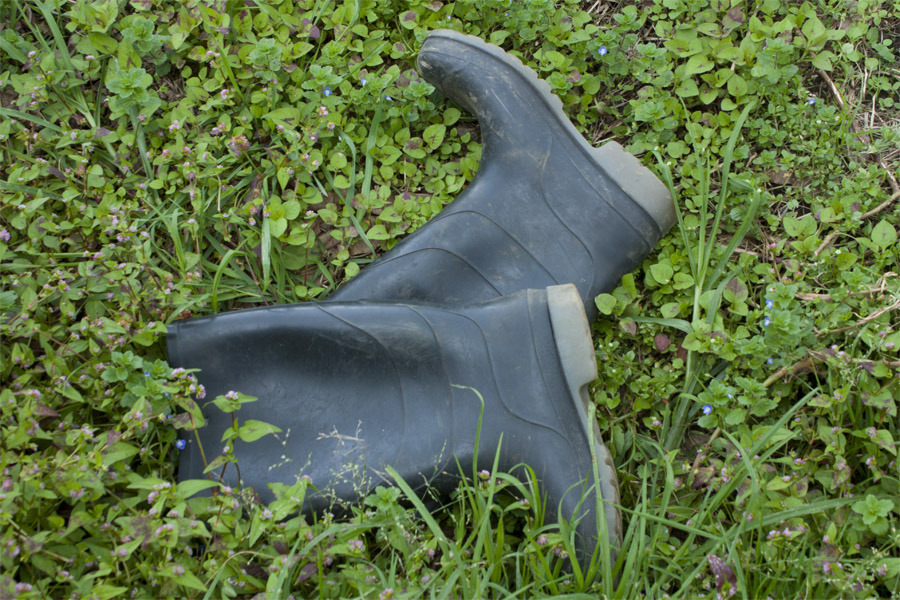 Ett par stövlar i gräset